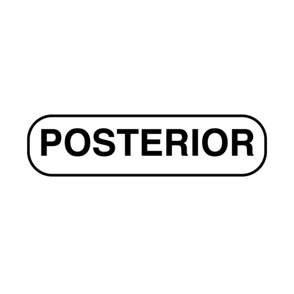 Information Labels - Posterior 5/16" x 1-1/4" White w/Black